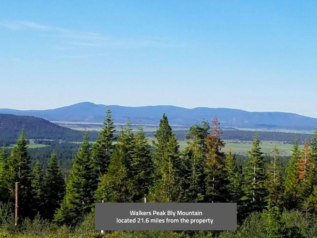 Sprawling 2 Acres in Southern Oregon - Image 5