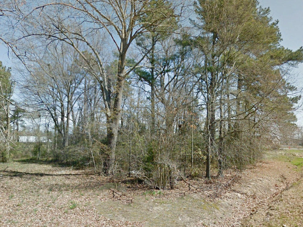 Quarter acre property at the end of the road near the lake - Image 3