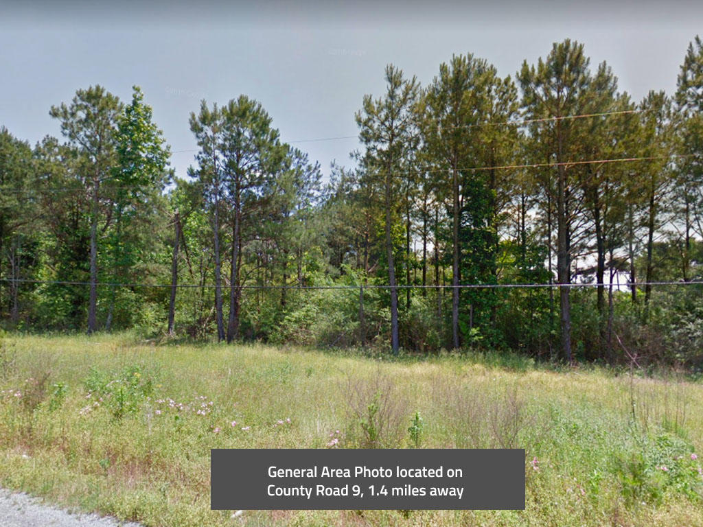 A half an acre in the northeastern corner of Alabama - Image 3