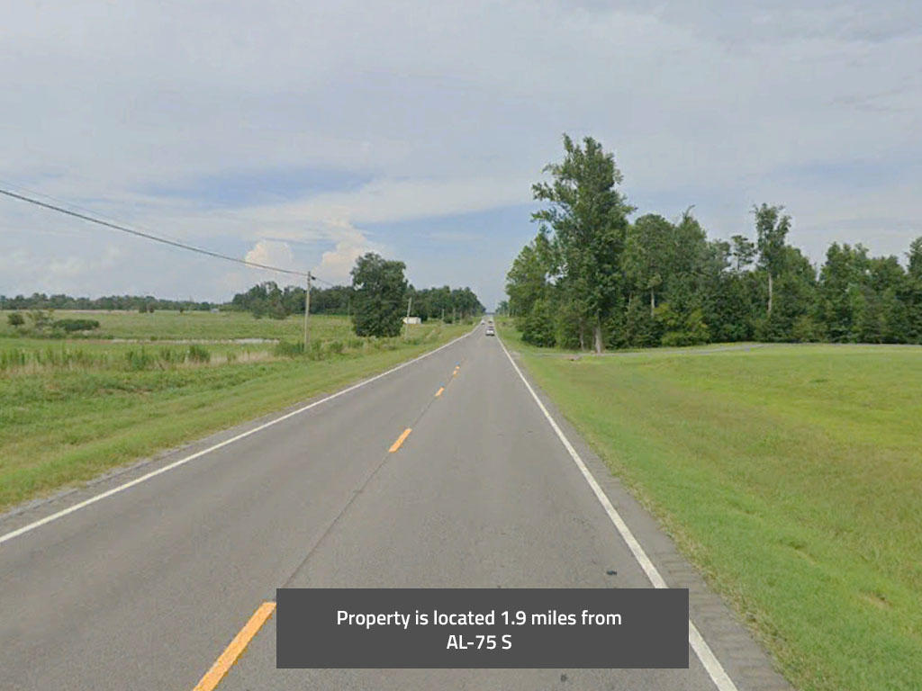 A half an acre in the northeastern corner of Alabama - Image 4