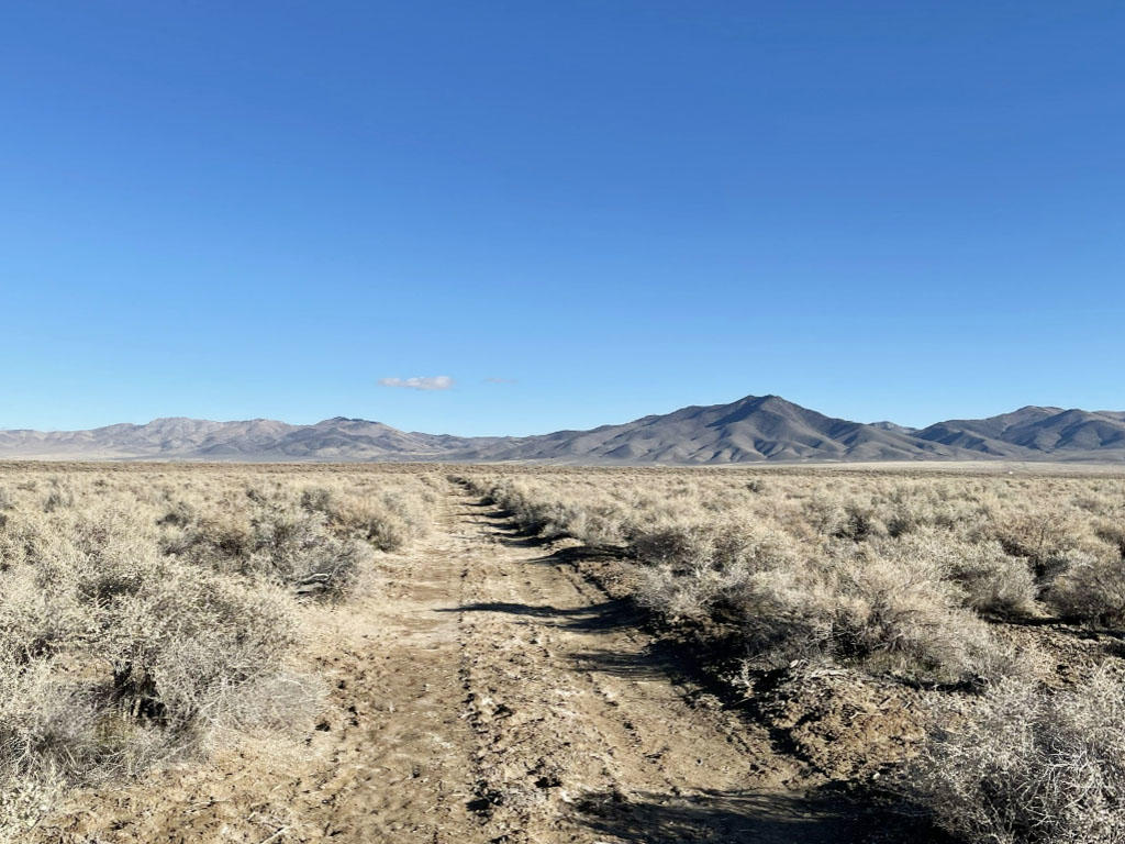 Over 20 acres nestled in beautiful Nevada - Image 4