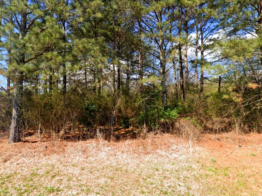 Two For One Half Acre Anniston Plot - Image 2