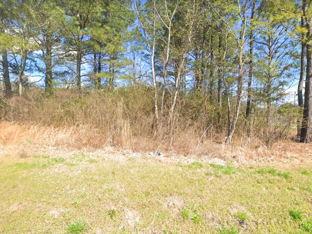 Two For One Half Acre Anniston Plot - Image 6