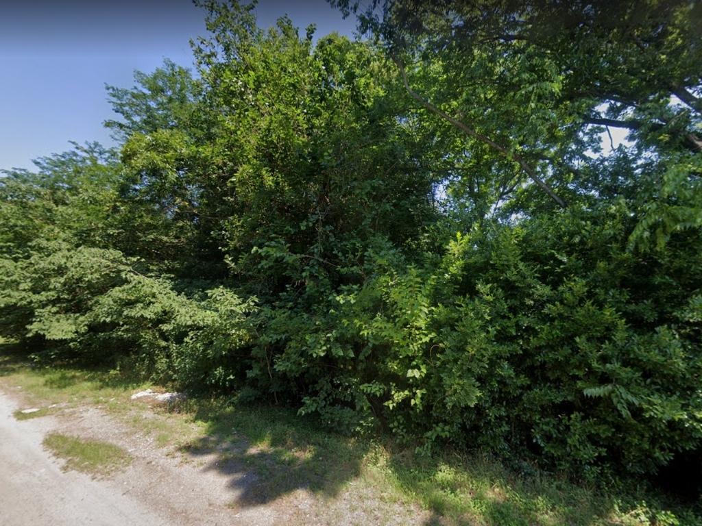Undeveloped Residential Lot in Albany - Image 0