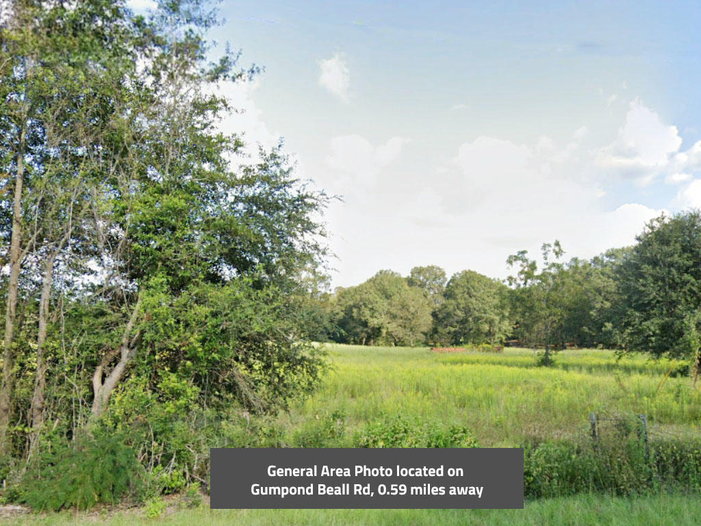Large property less than an hour from the Gulf of Mexico - Image 3