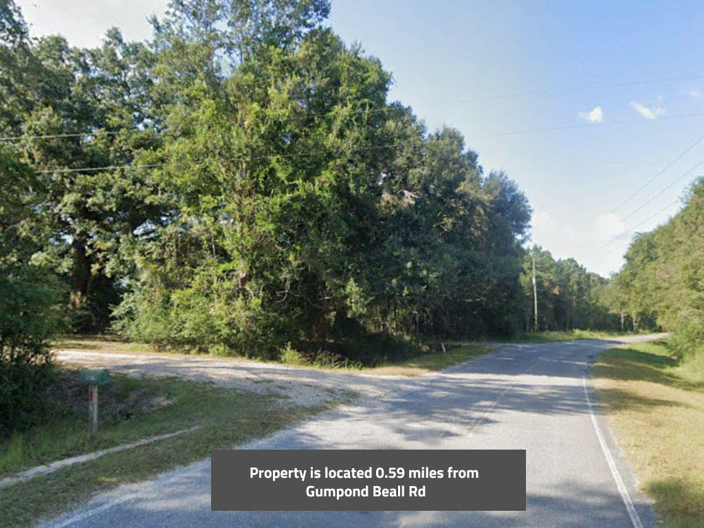 Large property less than an hour from the Gulf of Mexico - Image 4