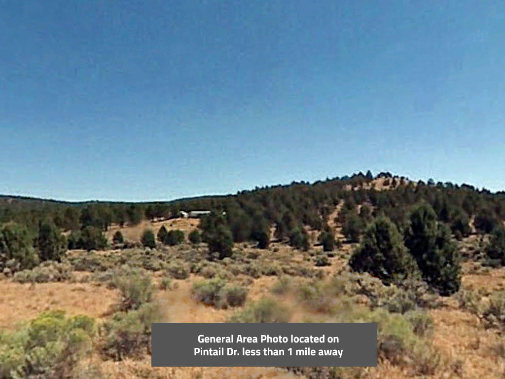 Two acre California property close to lakes and national forests - Image 0