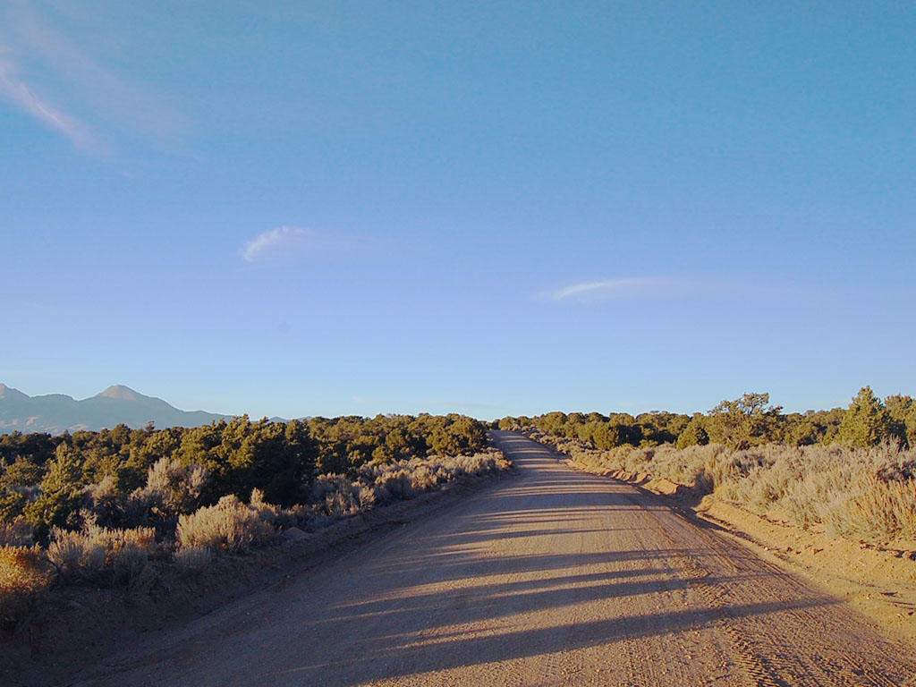 Over Five Acres in the San Luis Valley - Image 4