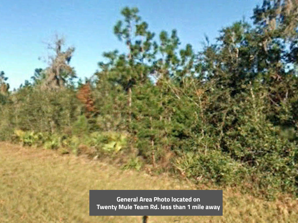 Nearly Quarter Acre Central Florida Homesite - Image 0