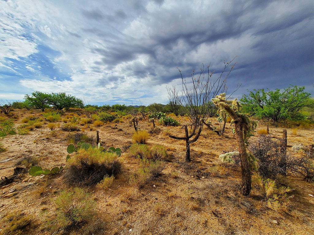 Over an acre in a quiet community on the outskirts of Tucson - Image 0