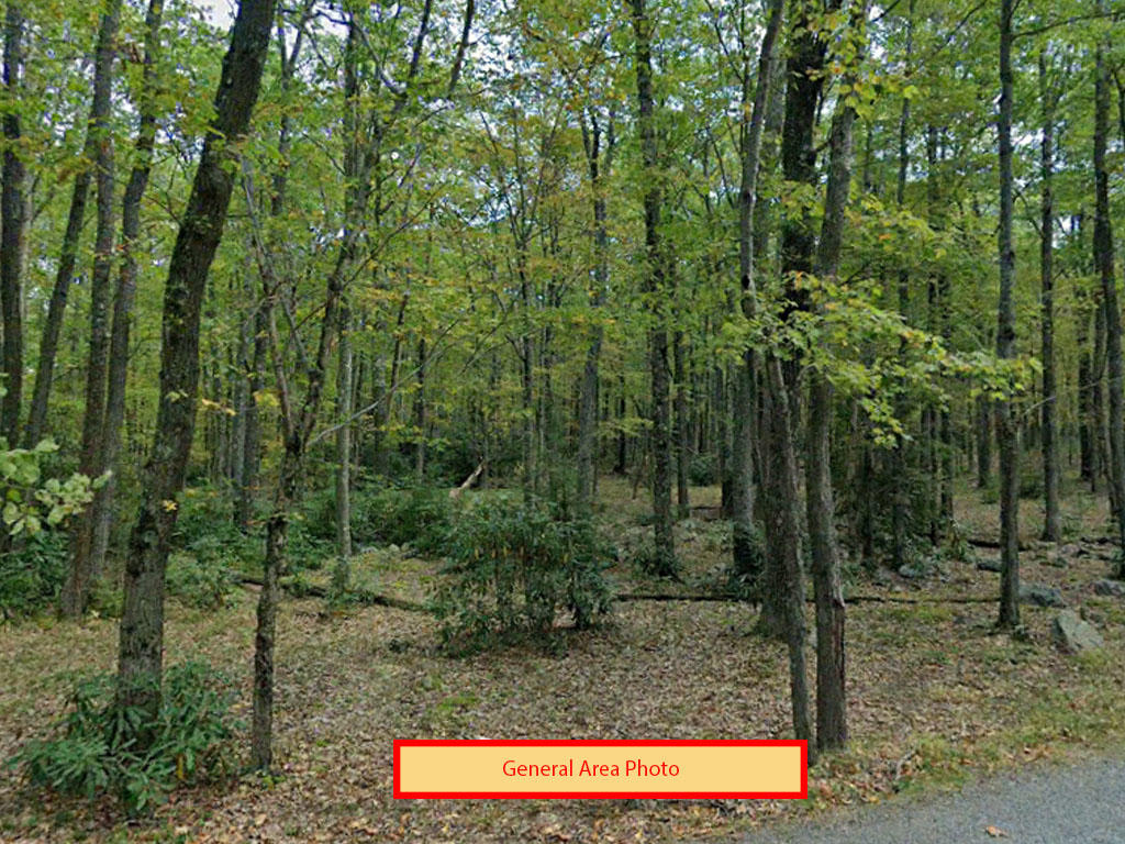 An acre in Greene Township, Pennsylvania - Image 6