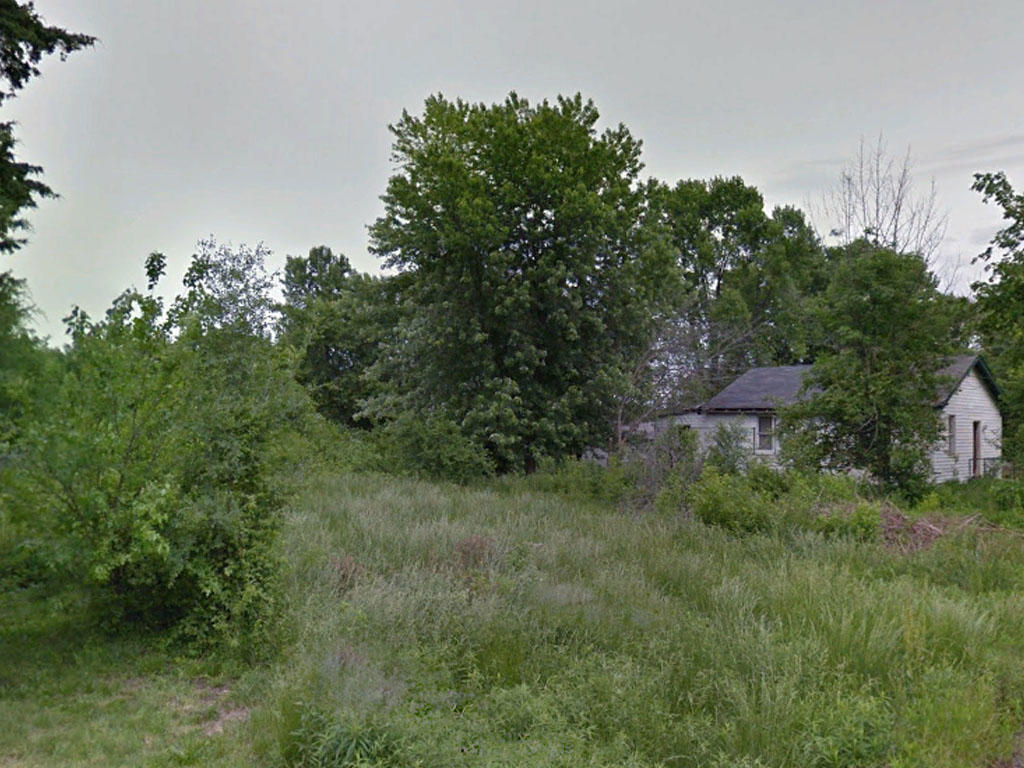 Almost half an acre backing a creek on the outskirts of St. Louis - Image 0