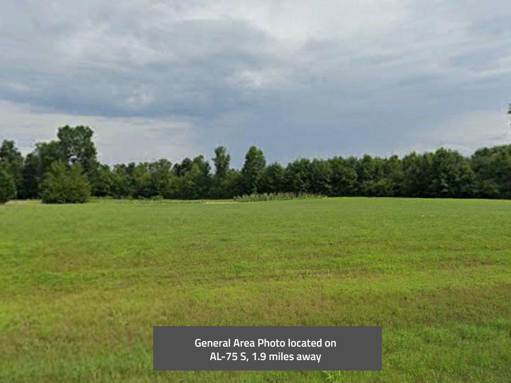 A half an acre in the northeastern corner of Alabama - Image 0