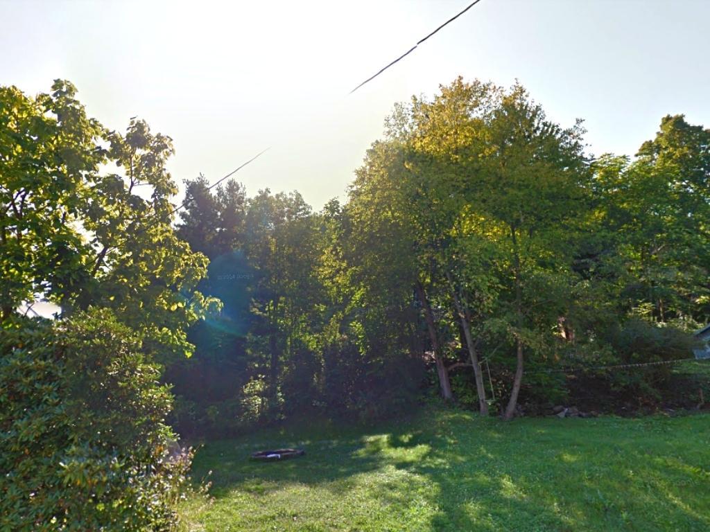 Walk to the river from this buildable wooded lot - Image 0