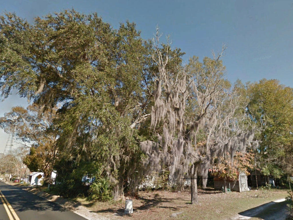 Great lot in one of the “best little towns in Florida” - Image 0