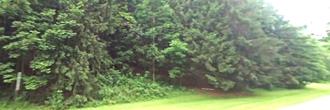 Beautifully wooded property in the southern part of Pennsylvania