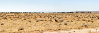 Perfect Investment Opportunity Near California City