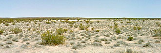Over two and half acres of usable property in the picturesque desert