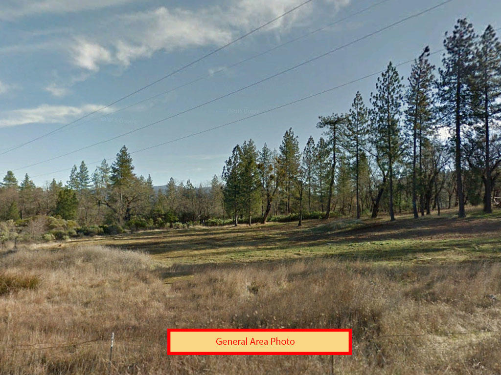Almost an acre and a half of beauty in Shasta County - Image 0