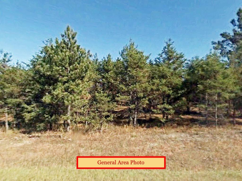 Land in Serene AuSable River Community - Image 0