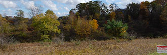 Foreclosed Land For Sale In Wisconsin