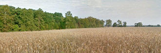 Escape to Pulaski County, Indiana