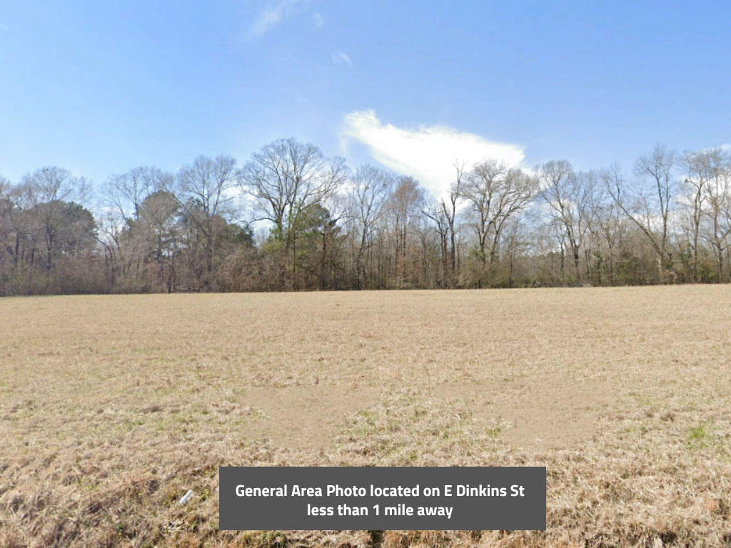 Large lot in a beautifully maintained neighborhood - Image 0
