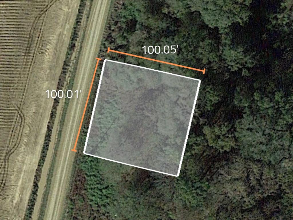 Beautifully wooded property in a large farming town - Image 1