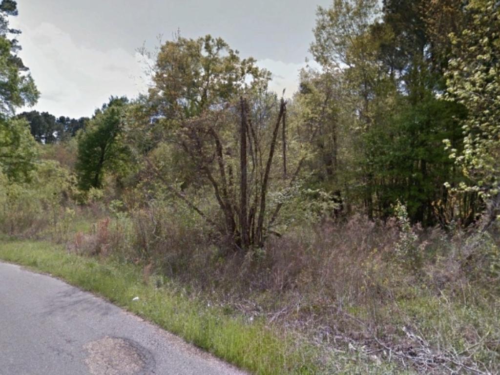 Quarter Acre Escape on the Edge of Small Louisiana Community - Image 3