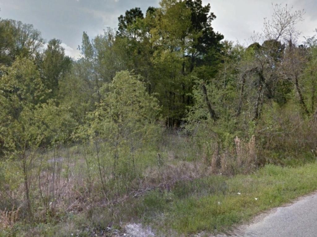 Quarter Acre Escape on the Edge of Small Louisiana Community - Image 0