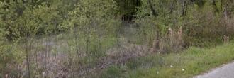 Quarter Acre Escape on the Edge of Small Louisiana Community
