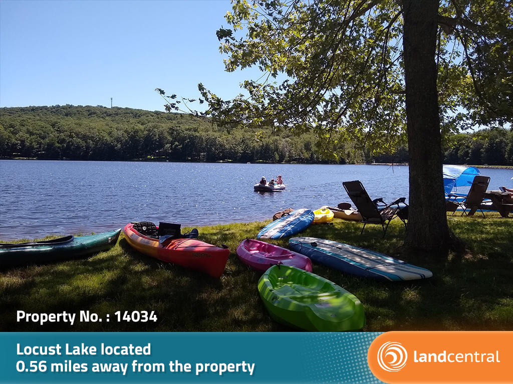 Over half an acre of beautiful wooded perfection. - Image 5