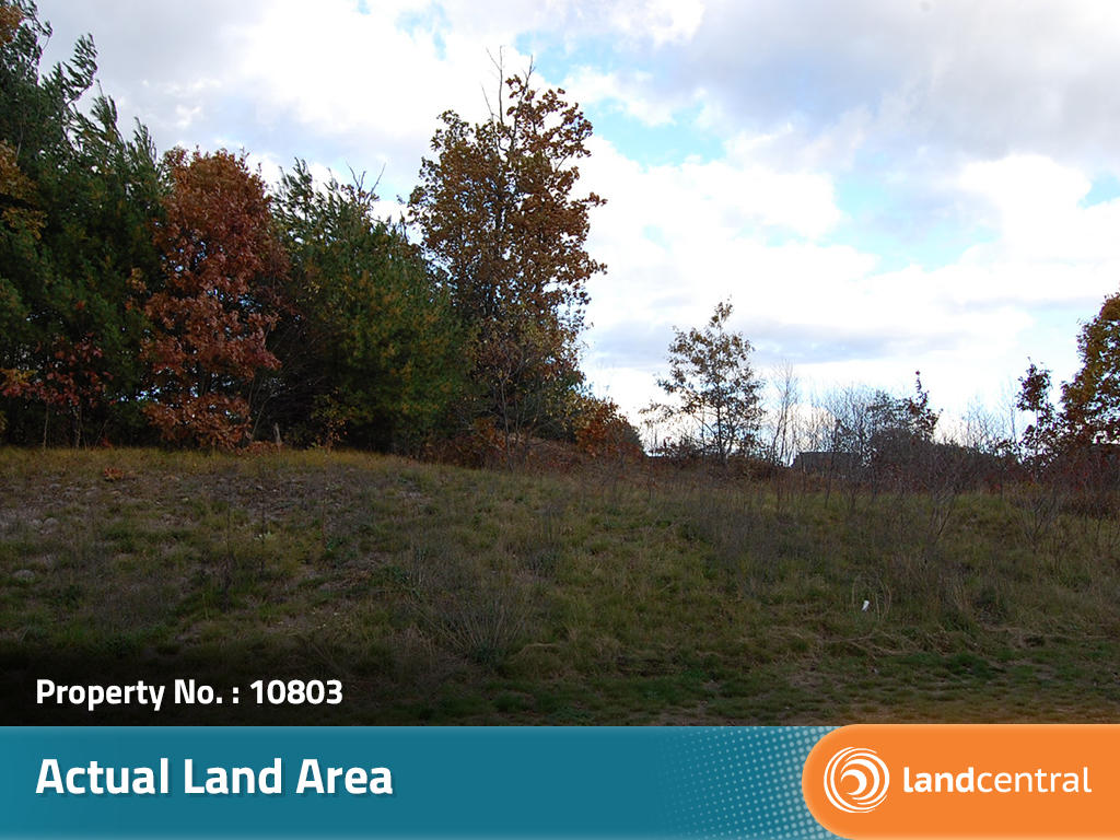 Quarter Acre Lot with Water and Sewer Available - Image 4