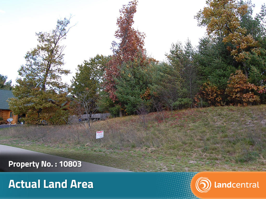 Quarter Acre Lot with Water and Sewer Available - Image 0