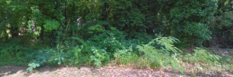 Beautiful Third of an Acre Lot in Anniston Alabama