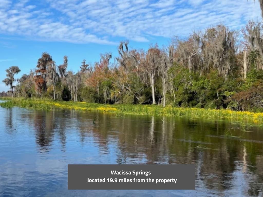 Almost an acre of narrow property backing a large open field - Image 6