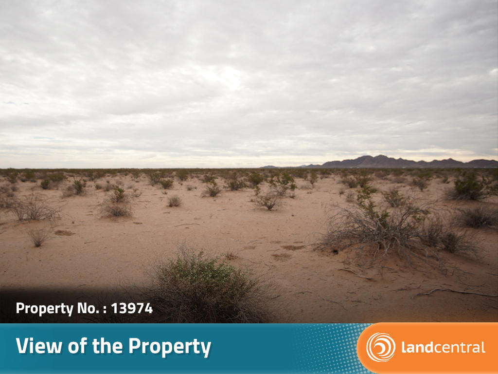 Abundant Beauty Awaits in Arizona Valley - Image 4