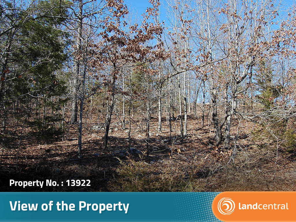 Create your own scene in this quiet part of Arkansas - Image 4