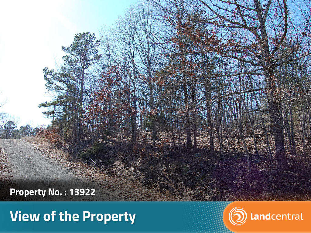 Create your own scene in this quiet part of Arkansas - Image 6