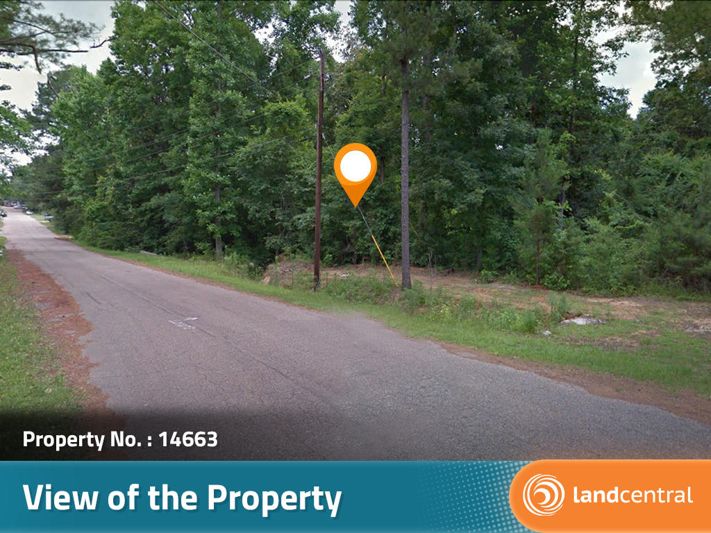 Nice sized lot in a quiet neighborhood on the edge of town - Image 3