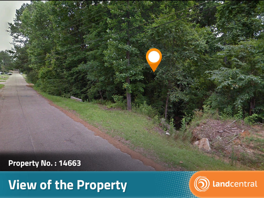 Nice sized lot in a quiet neighborhood on the edge of town - Image 4