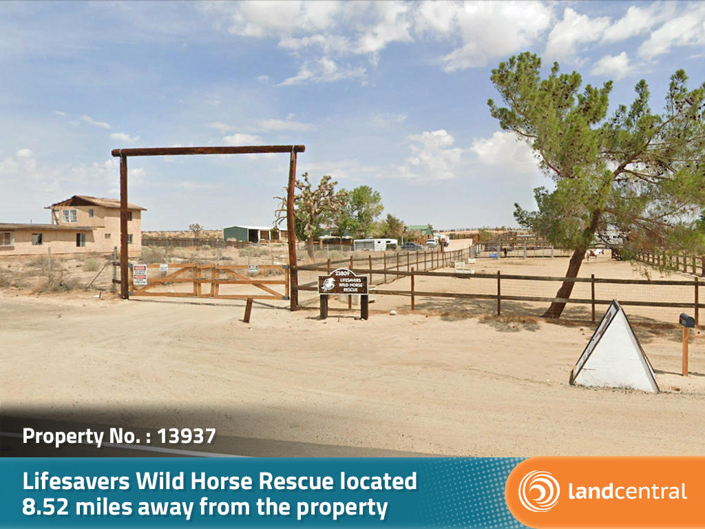 Over two and a half acres of desert beauty with plenty of privacy - Image 4