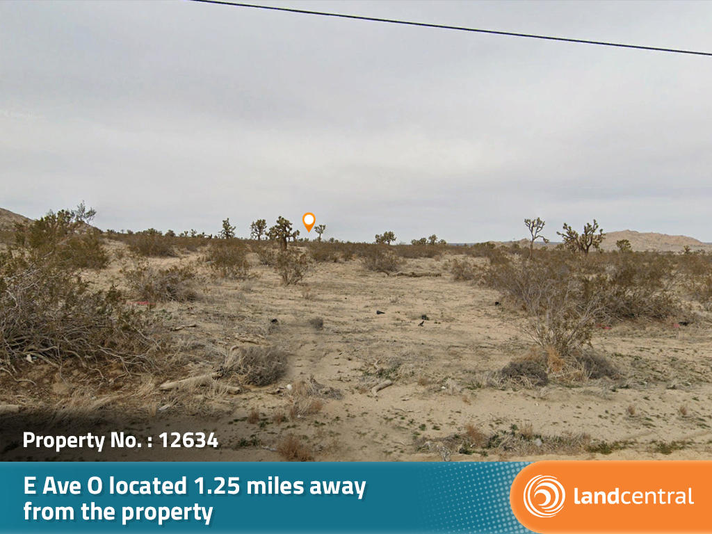 Almost 3 acres of amazing property just outside of the city - Image 5