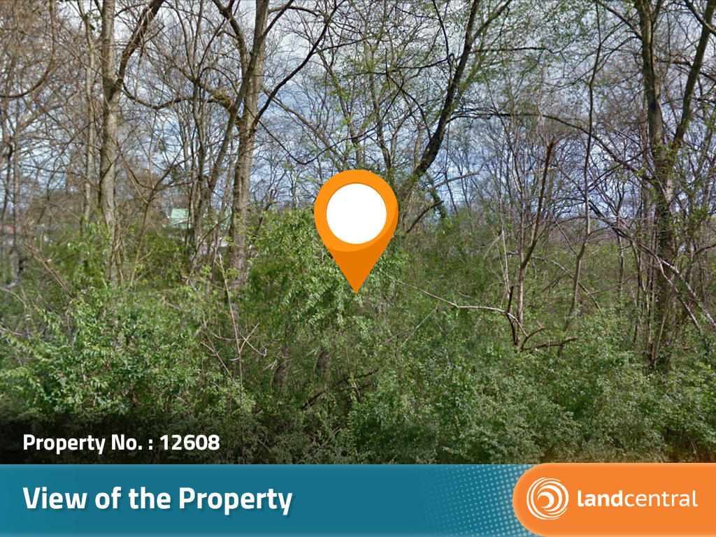 Spacious Southern Lot in Beautiful Alabama Town - Image 3
