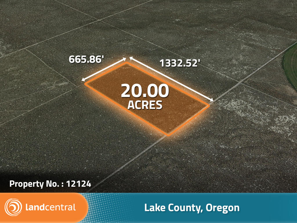 Investment Opportunity on 20 Beautiful Acres - Image 2