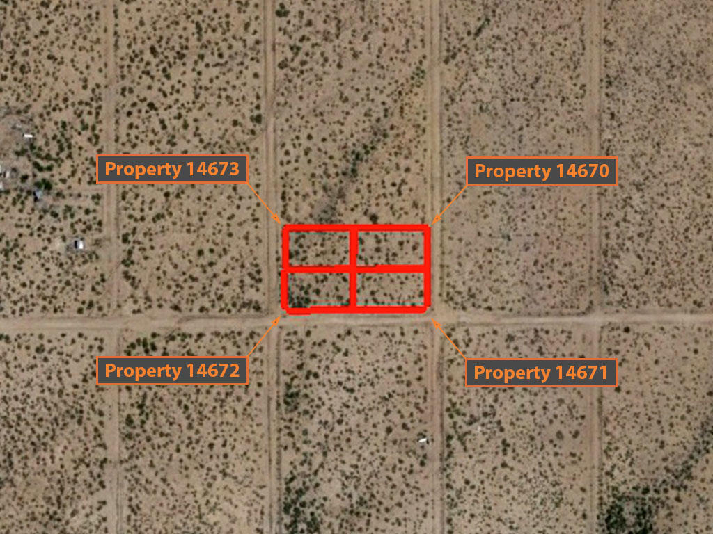 4 Large Lots in Rare Intermediate Investor Pack - Image 2