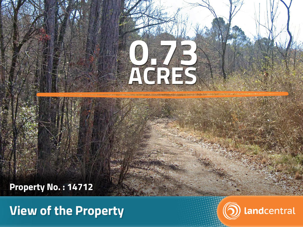 Well over half an acre corner lot in a quiet part of Birmingham - Image 0