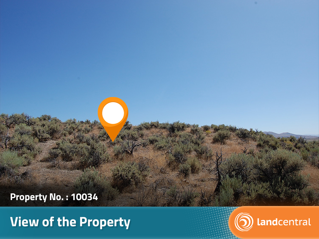 Stunning 1 Acre Property in Majestic Nevada Wilderness LandCentral