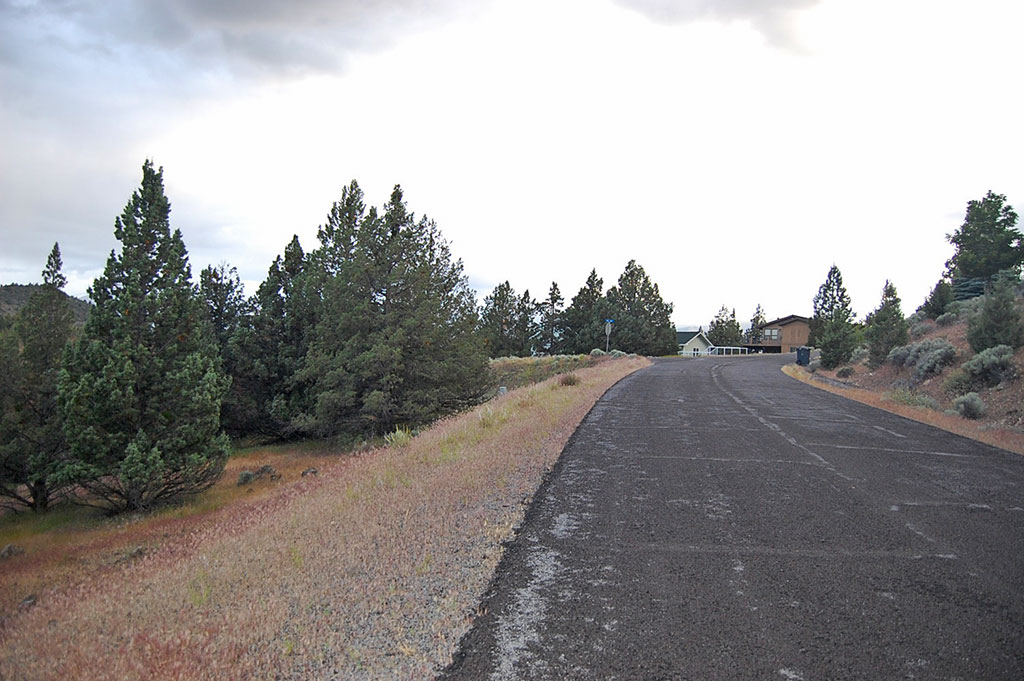 Lake Shastina Property With Picturesque Mountain Views LandCentral