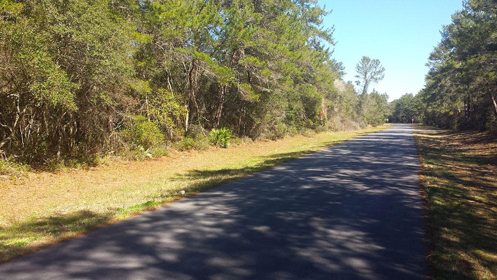 Treed Lot in Marion Oaks Subdivision of Ocala Florida LandCentral